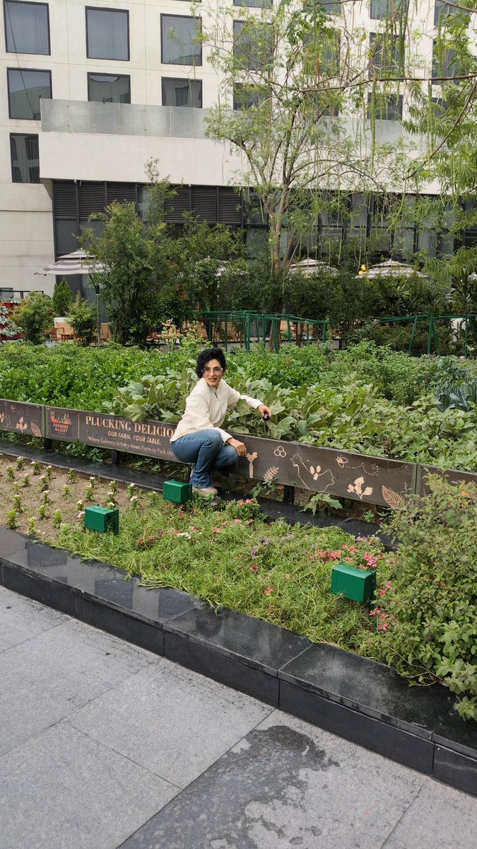realsimranahuja's tweet image. Novotel this morning.. fresh breakfast..

#breakfast #nature #love #organic