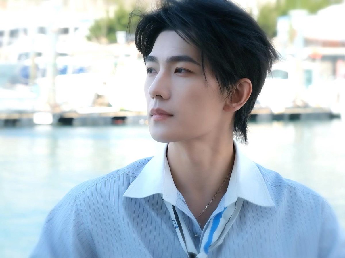 YANG YANG 杨洋 tweet media