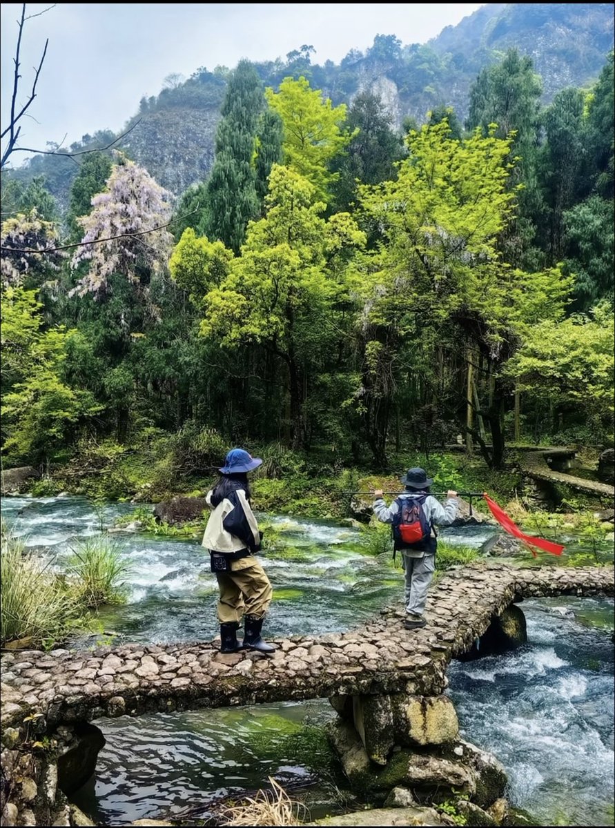 Tis1899765's tweet photo. 徒步旅行～ https://t.co/FVySKxjkYW