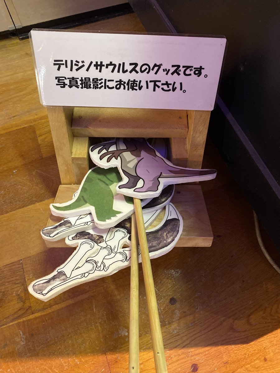 恐竜化石探訪 tweet media