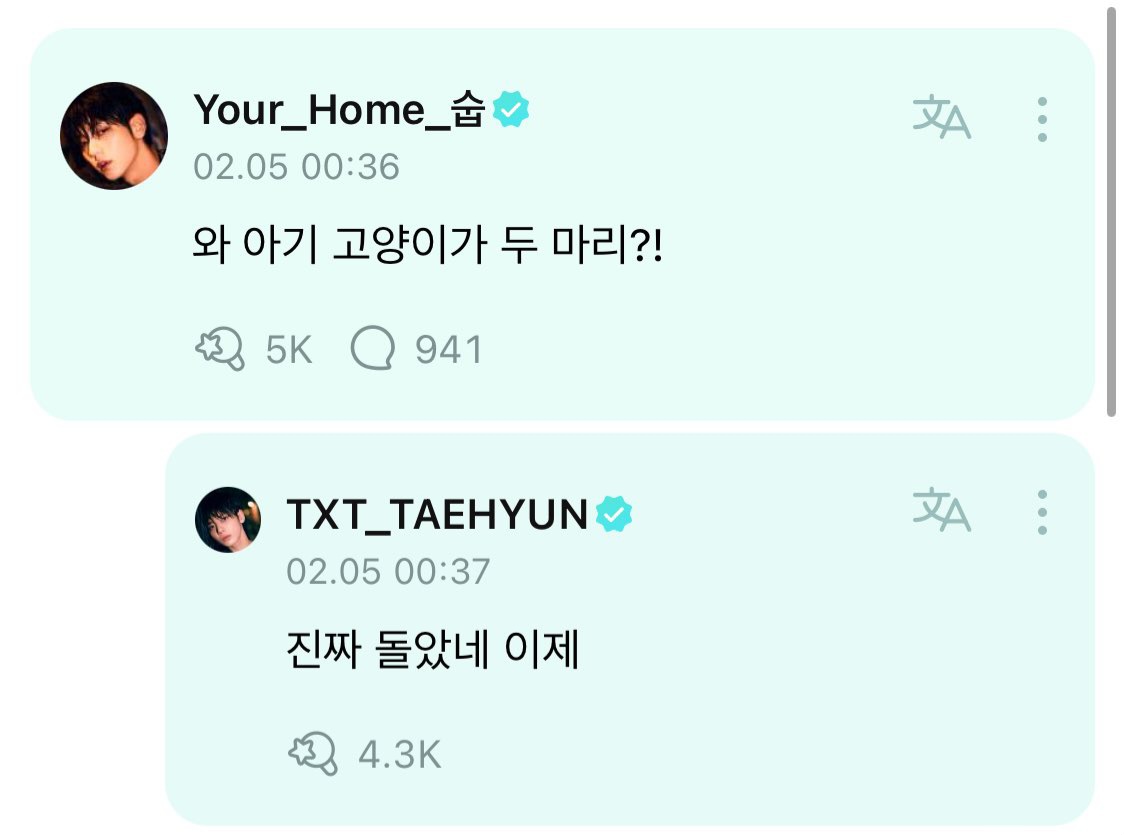 녕 tweet media