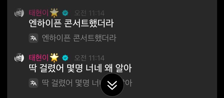 🐿️ 엔하이픈 콘서트했더라
🐿️ 딱 걸렸어 몇명 너네 왜 알아

또 떴다 모아감시반