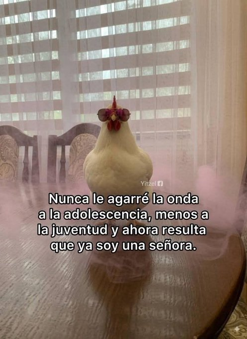 Pensamientos tweet media
