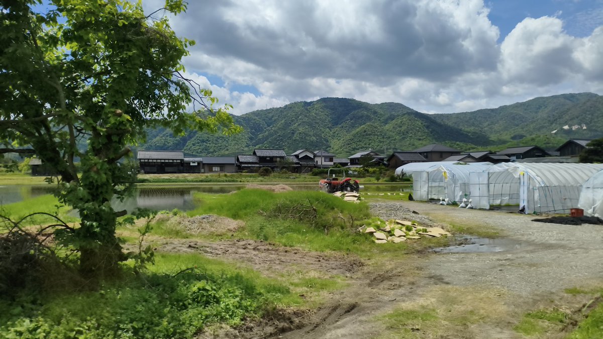 緑が映えますわ