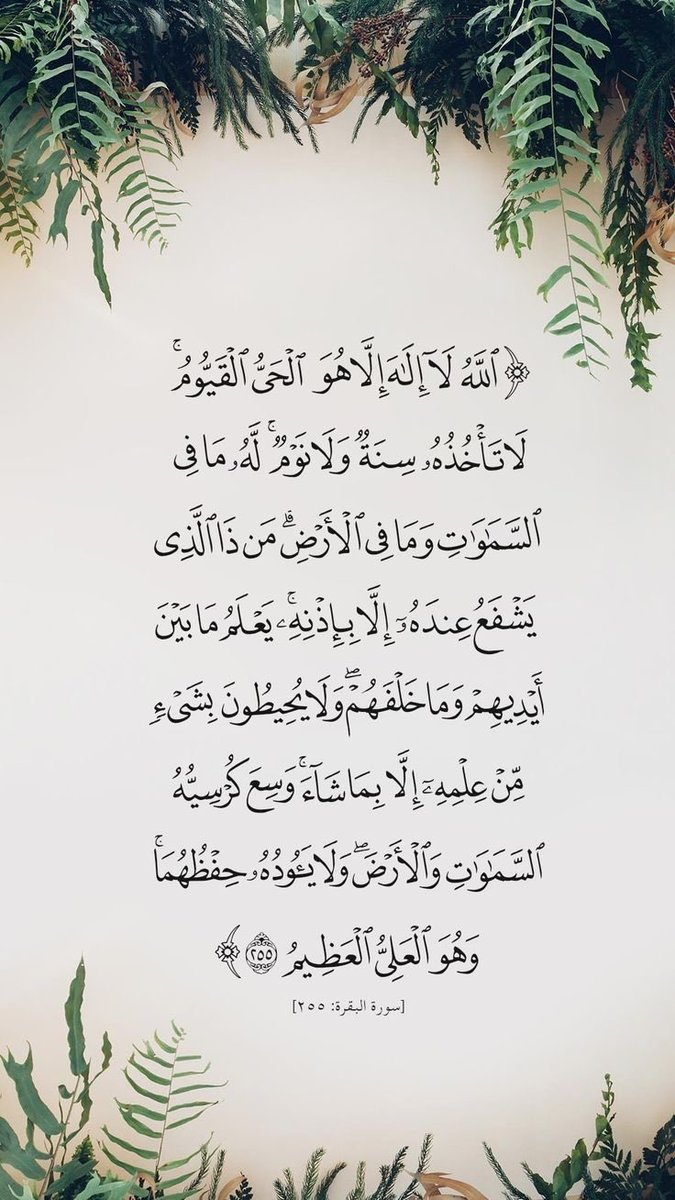إذكاري ☂️🌻 tweet media