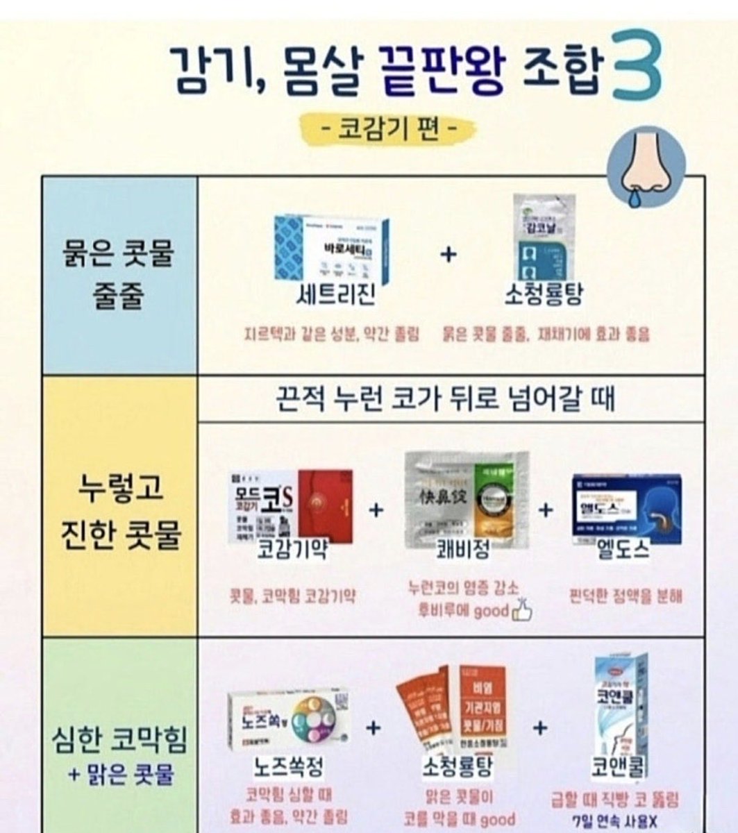 약사가 인정하는 감기, 몸살 끝판왕 조합