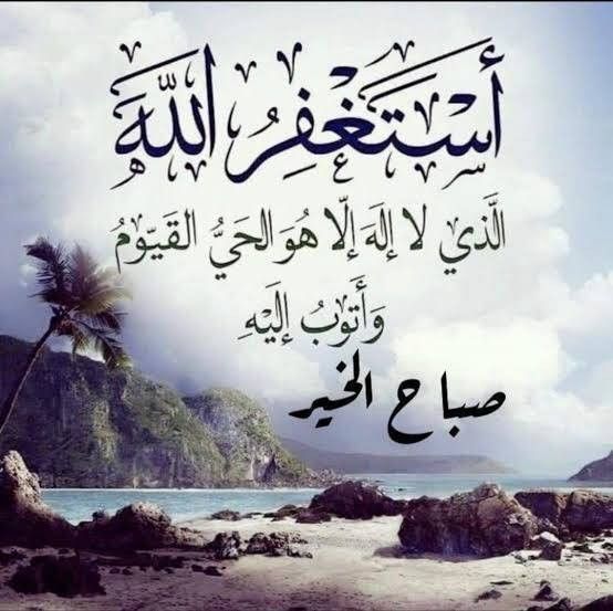 Amr Amine HEGAZY  عمرو أمين حجازي tweet media
