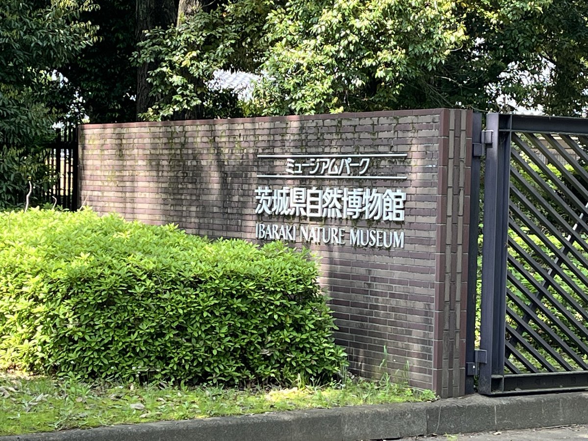 maccoy9's tweet photo. 茨城県自然博物館に行ってきたわぁ🦣 https://t.co/t1RkvcpfJZ