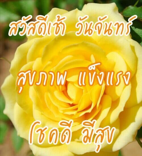 arikathanks tweet media