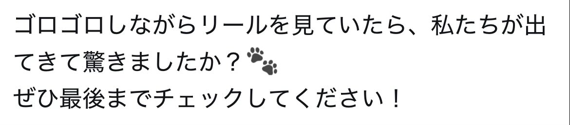 おにぎりさん tweet media