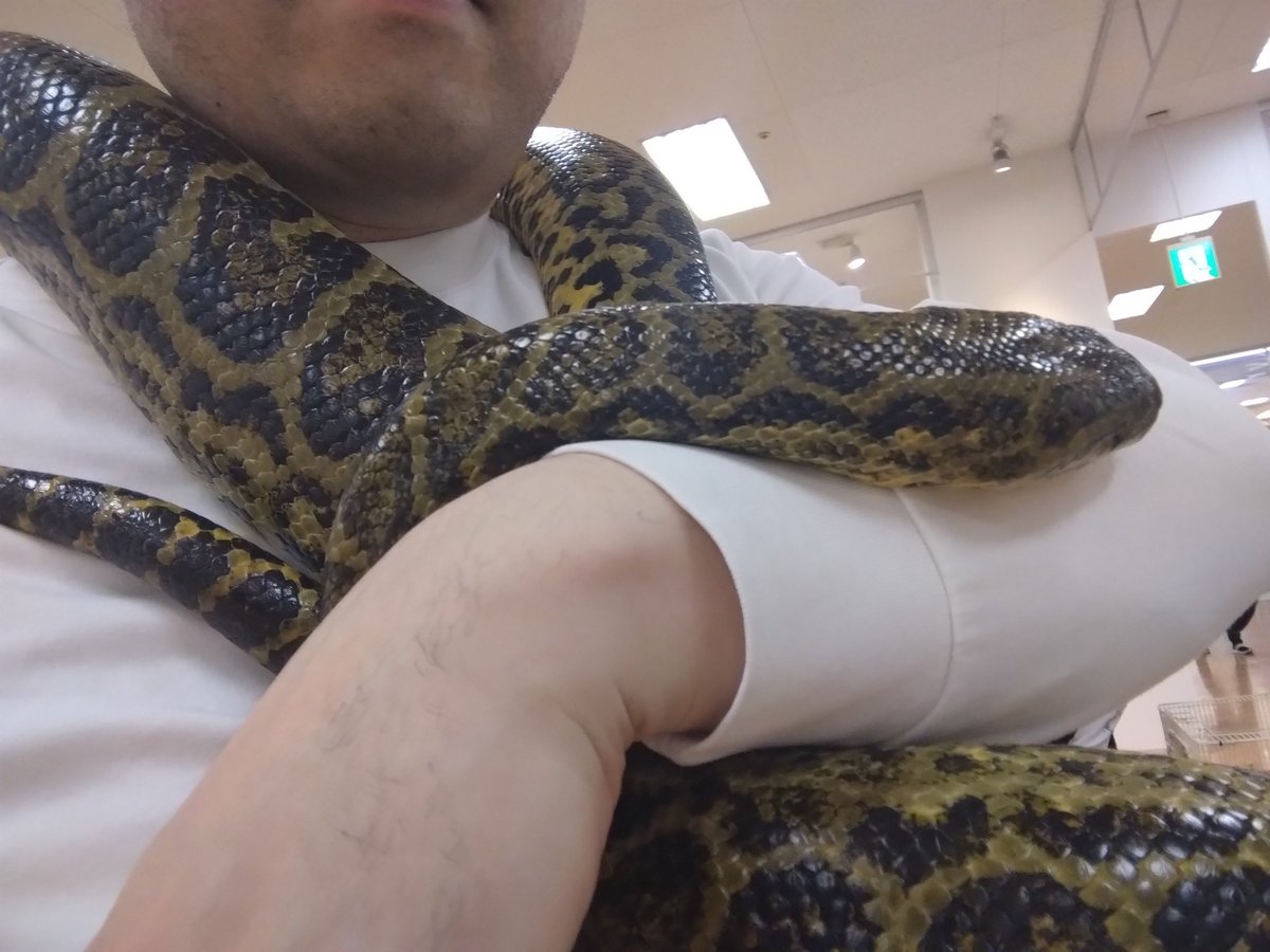 YOU064's tweet photo. 16ヶ月振りアナコンダで禁断症状回復 https://t.co/C1beXNWZr2