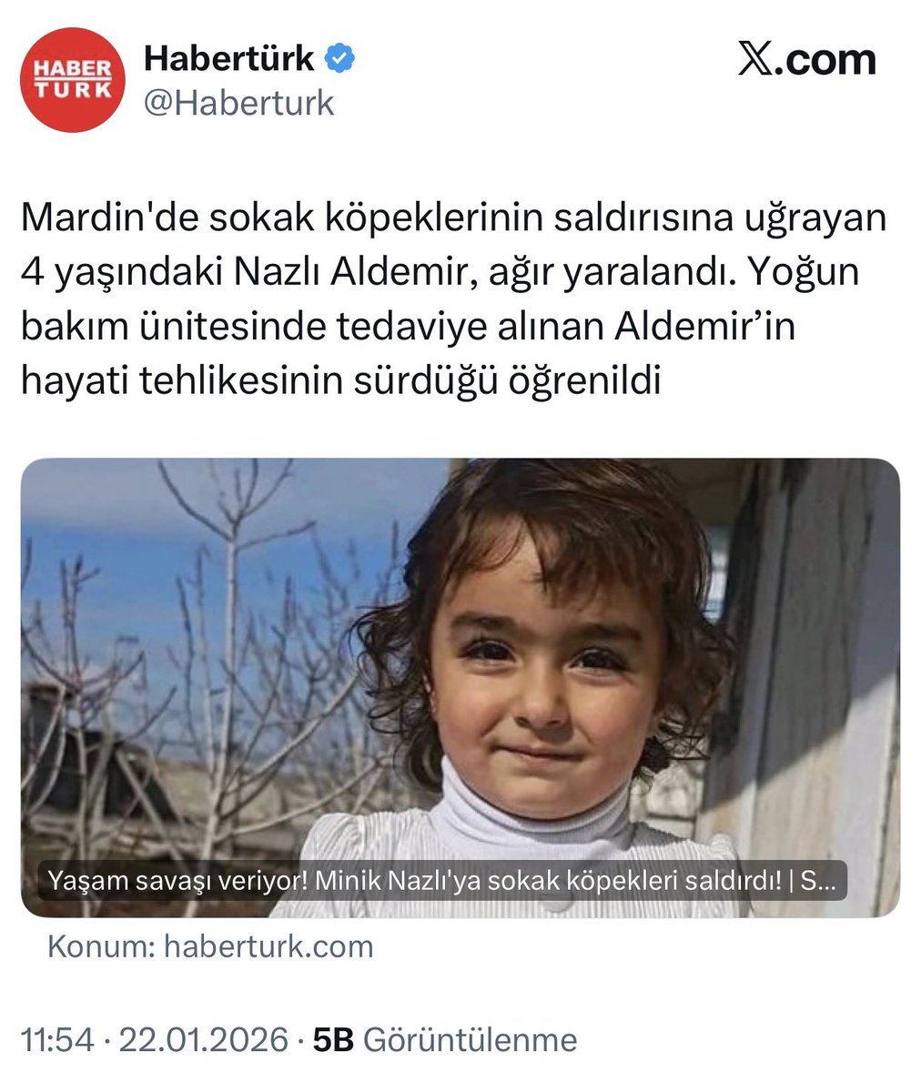 Ahmet çelik tweet media