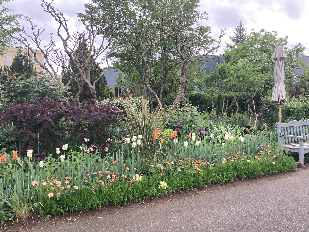 nobaragarden's tweet photo. GW新潟旅行
#みつけイングリッシュガーデン
薔薇はまだまだでしたがとっても綺麗にお手入れされていました🌷 https://t.co/R5a5L7Opy2