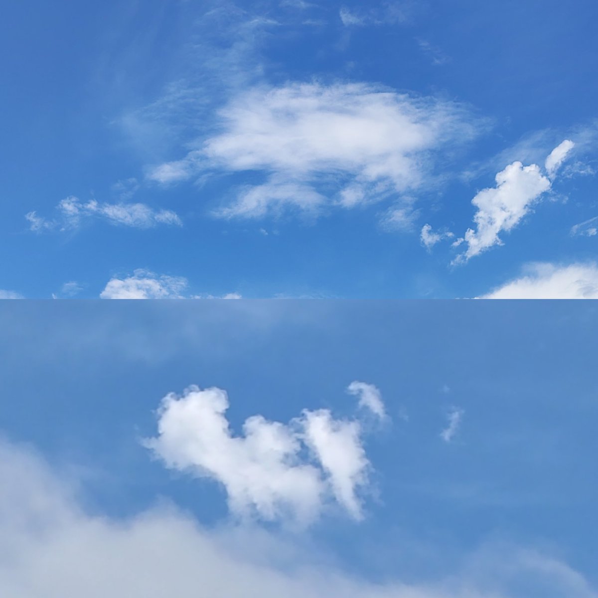 DZizBigFish's tweet image. RIP Mia My favorite girl Love you Forever! 
🫣😭🐻🙏🌎🇺🇸🍾🍾🍾 April 29th 2026. I don't think I've ever loved her as much as I've ever loved anything in my entire life! 😭😭😭😭😭 The clouds formations were the same day All #dogs go to #heaven!
