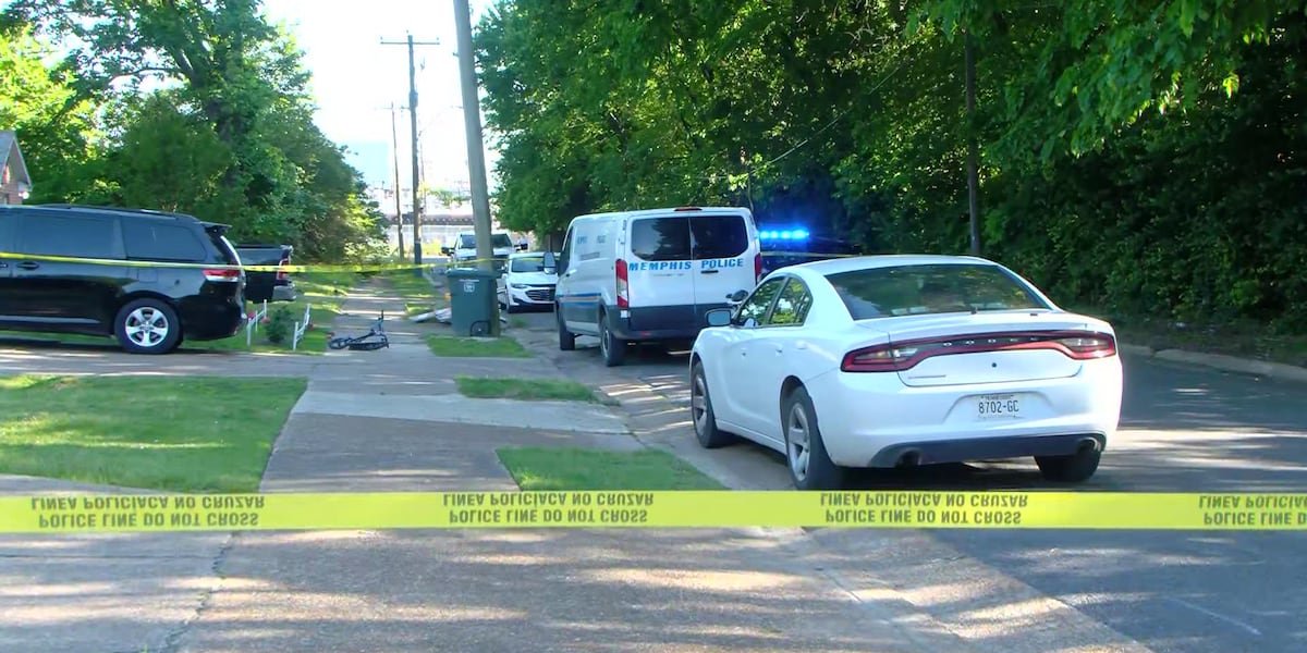 Action News 5 tweet media