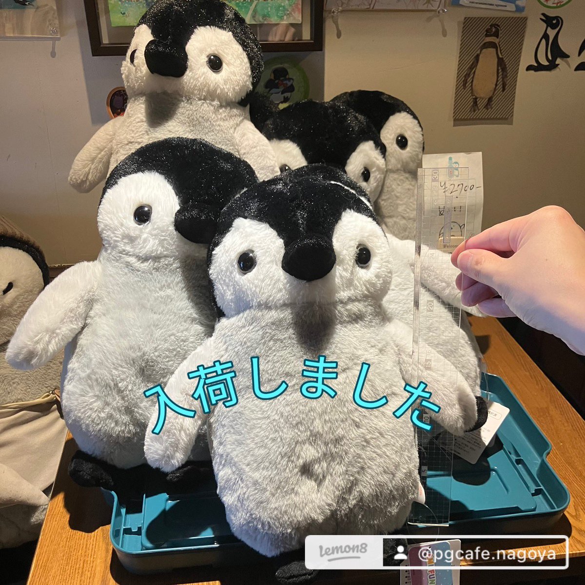 ペンギンカフェ名古屋 大須 PGカフェ🐧 tweet media