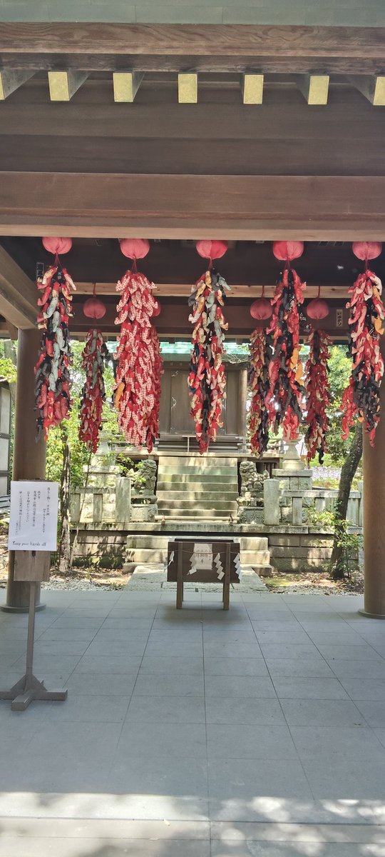 TD06072's tweet photo. 川越氷川神社に着きました。 https://t.co/ifuPhCevKd