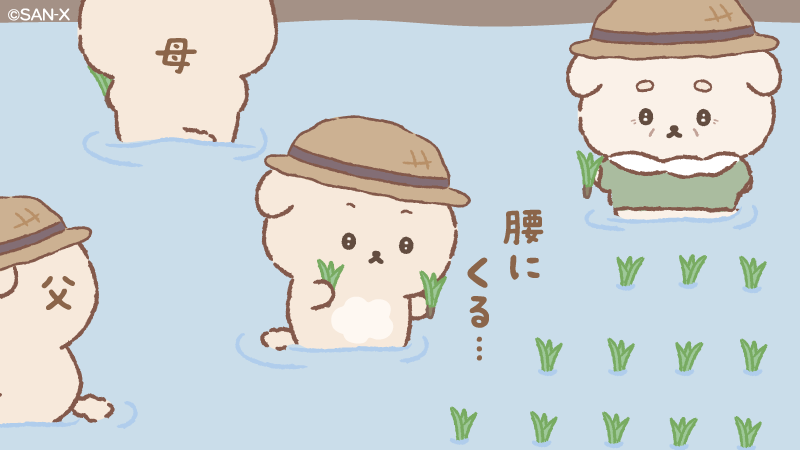 いしよわちゃん【公式】 tweet media