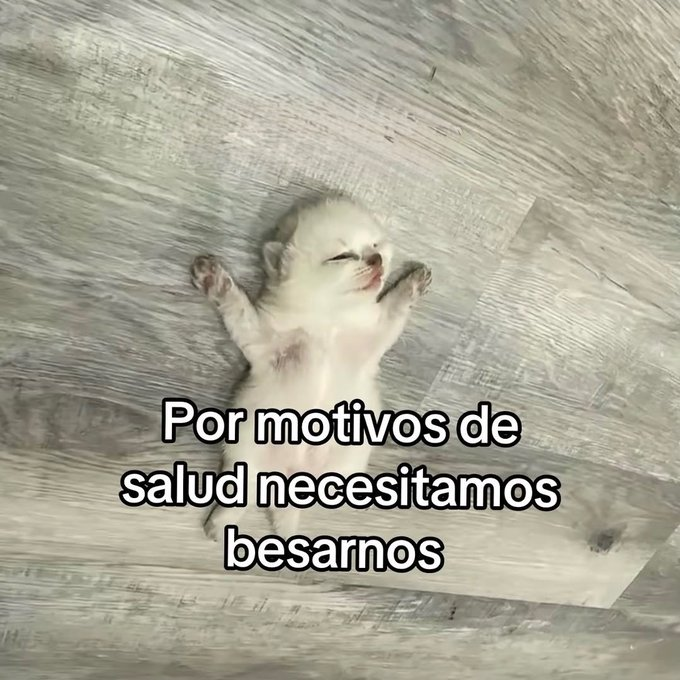 Pensamientos tweet media