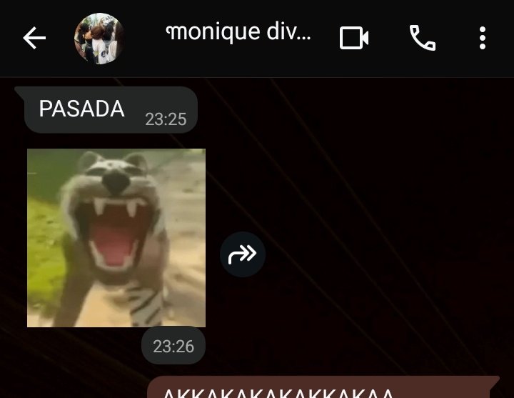 𝘴𝘢𝘢𝘤｡ tweet media