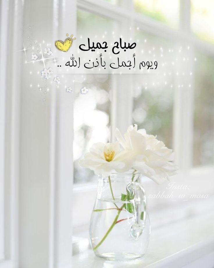 םــٌـــلاڪ tweet media