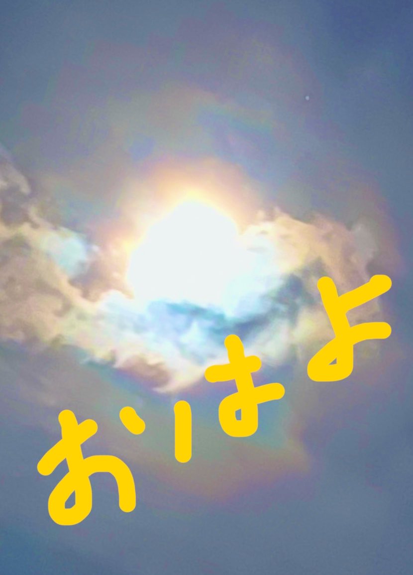 メロ tweet media