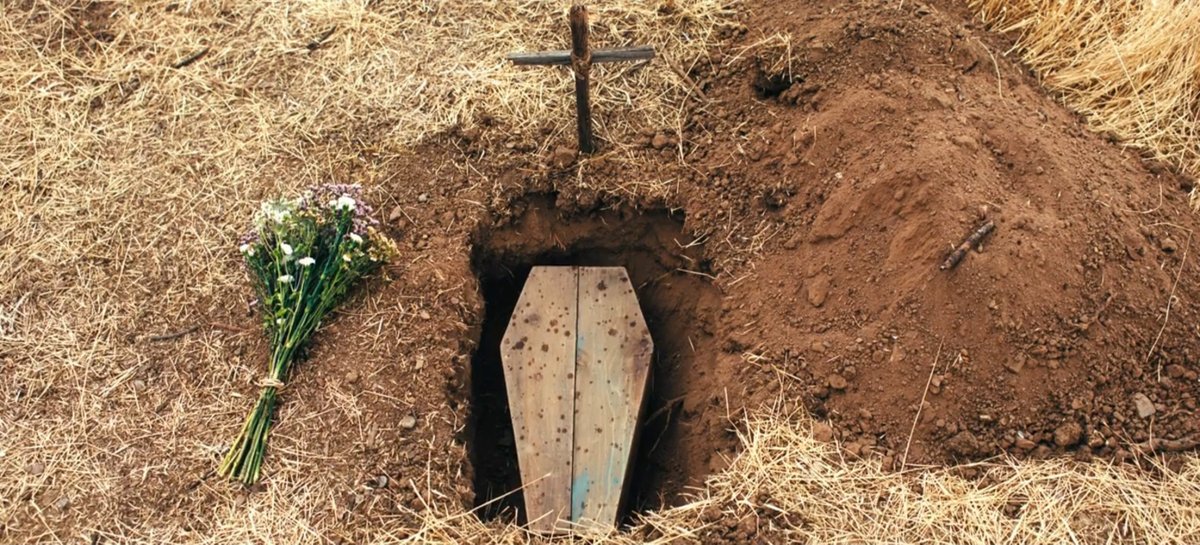 ca11mebiles's tweet photo. rip paladin. faye fell asleep at your funeral. https://t.co/Qu8Z9CBezr