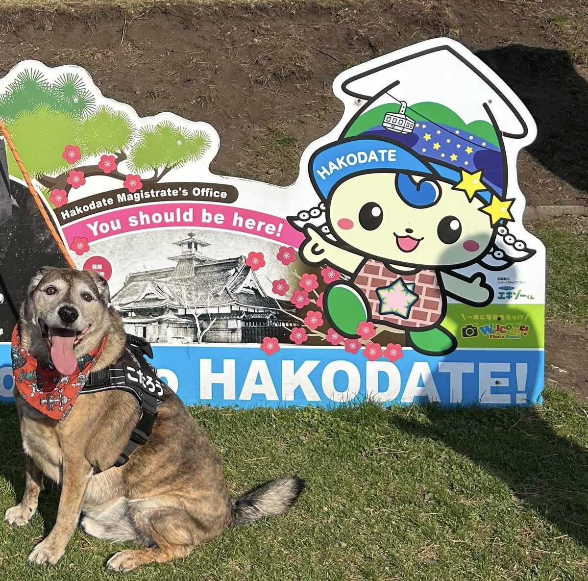 Rena_Hendrix tweet media