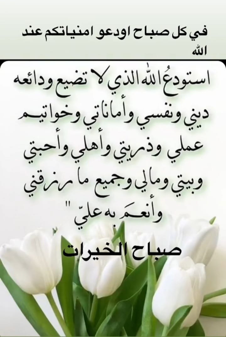 اللهم انانعوذ بك من
الكسل وسوءالكبروعذاب في
الناروفي القبرياحي ياقيوم
صب
عليناالصحةوالعافيةوالخير
والرزق والمال الوفيرمدراراً
لاينقطع أبداً
سبحان الله وبحمده
ياواحدياأحدبرحمتك نستغيث
وأصلح شؤونناولاتكلناالى
أنفسناطرفةعين ولالأحدمن
خلقك وتولى بنفسك أمرنا🤲
#تطبيق_استقرار_تزوج_الان