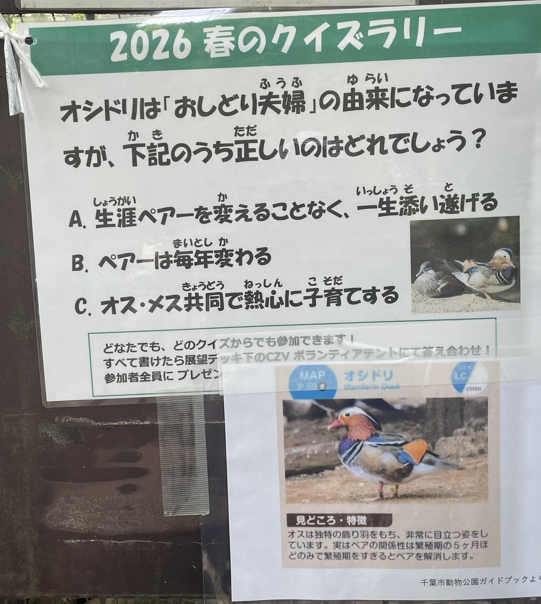 千葉市動物公園【公式】 tweet media