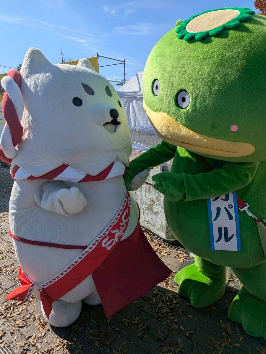ヌメヌメグリーンジャック #カパル #しっぺい