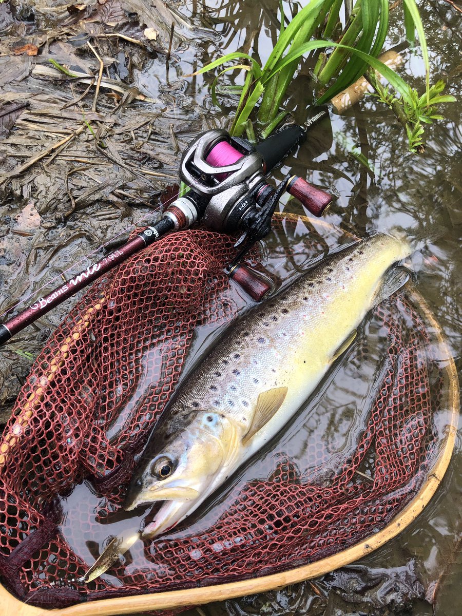 zisakukebari59's tweet image. レインウェアを着てるとはいえ雨☔️で体が少しづつ濡れ始め風邪ひいたら困るし40オーバーの良いブラウンも出たので早めに撤収💦あまり見た事の無い花が咲いてました🌼
#北海道 #ベイトフィネス #Fishman #Beams #inte79UL #SHIMANO #Scorpion #BFS #ブラウントラウト