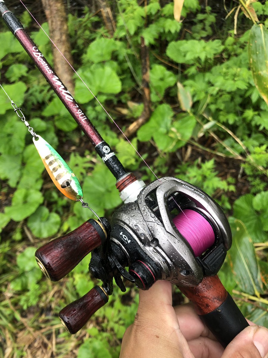 zisakukebari59's tweet image. レインウェアを着てるとはいえ雨☔️で体が少しづつ濡れ始め風邪ひいたら困るし40オーバーの良いブラウンも出たので早めに撤収💦あまり見た事の無い花が咲いてました🌼
#北海道 #ベイトフィネス #Fishman #Beams #inte79UL #SHIMANO #Scorpion #BFS #ブラウントラウト
