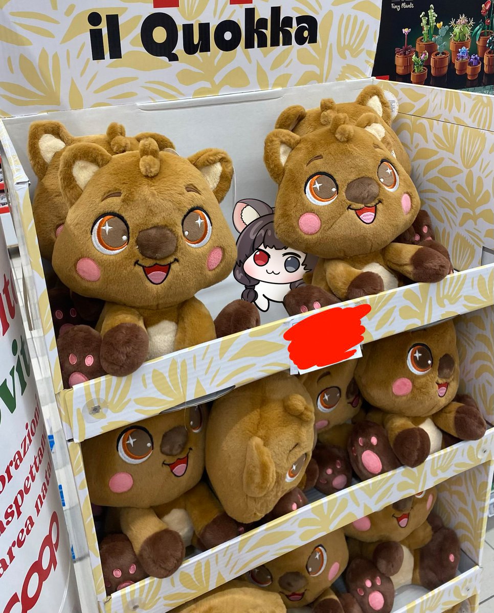hopeless_vt's tweet photo. Look what @ops_saki and Enro (vel Enrizzo) found here!

I would never think they were selling my cousins there... I hope at least they make more money than me (╥ ω ╥)
___________________
#hopelesshopeee https://t.co/w6HDCe0iQ8