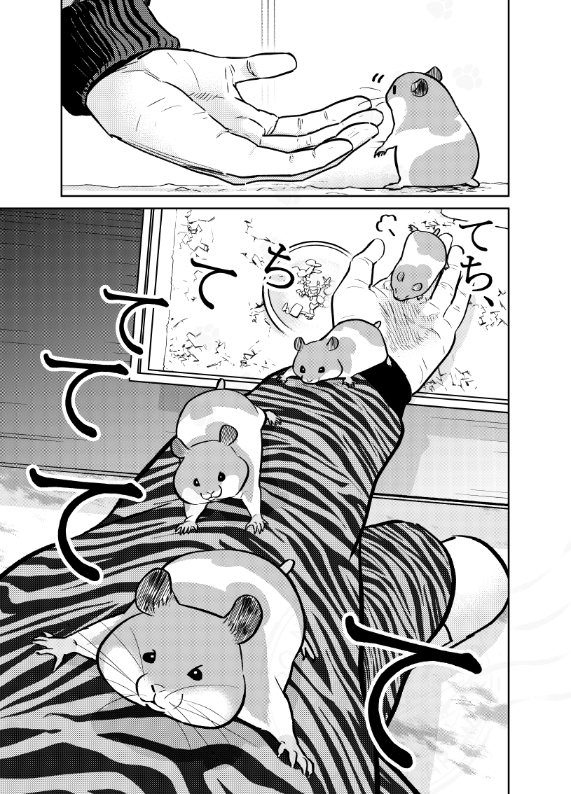 (3/3) 