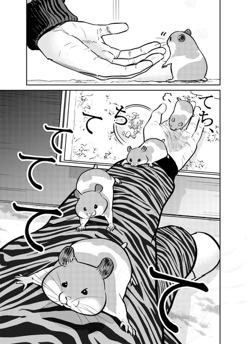 (3/3) 