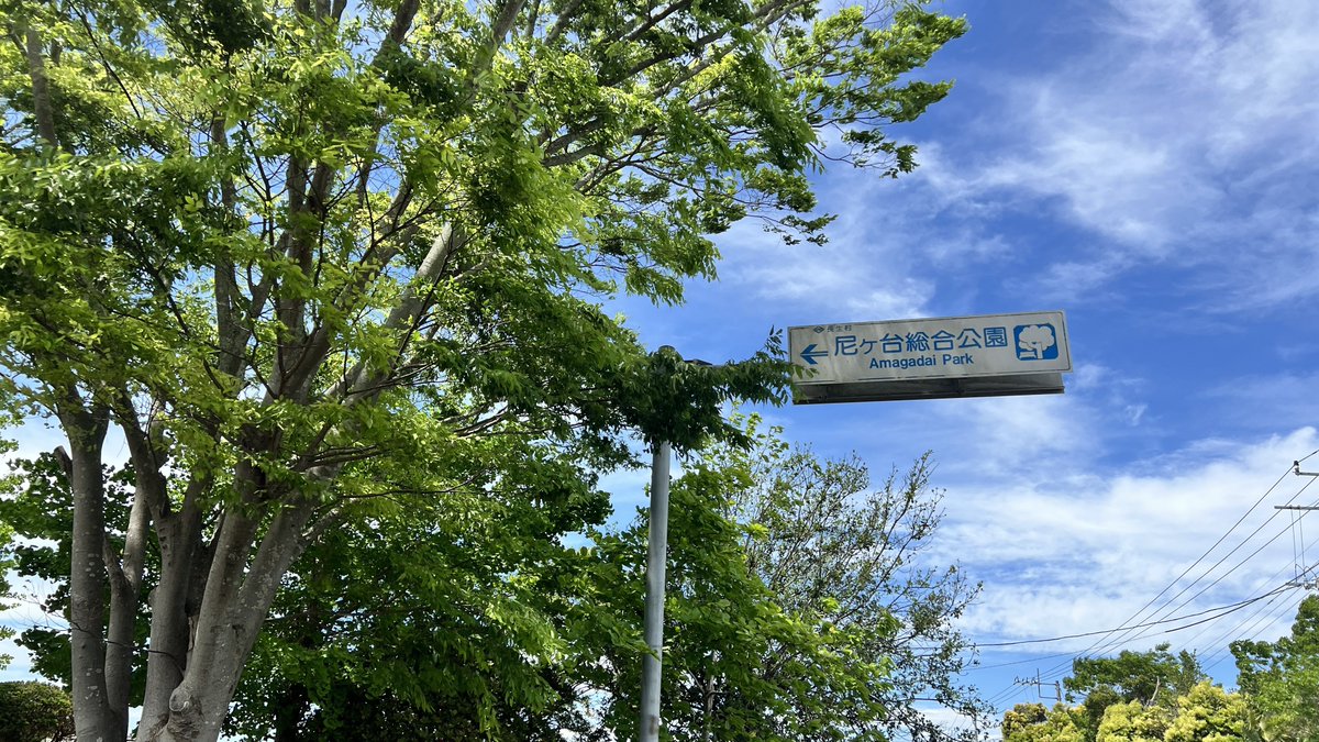 もも tweet media