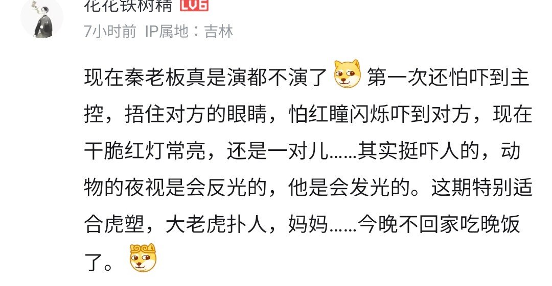왓슨 tweet media