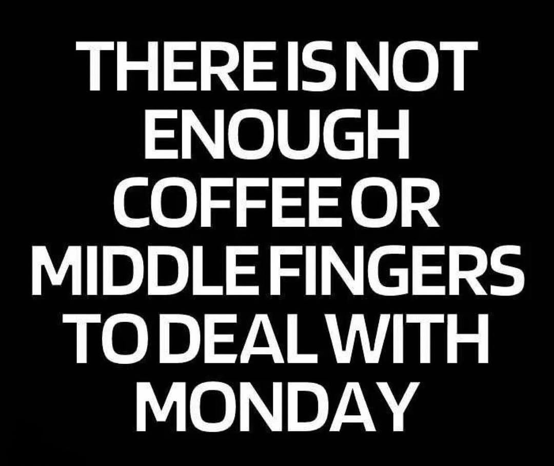 KapadiaShipra's tweet image. ⛅️ ☕️ 🖕🏼 🤷🏼‍♀️ 🖤

#monday #memes #coffee #coffeememes #mondaymorning