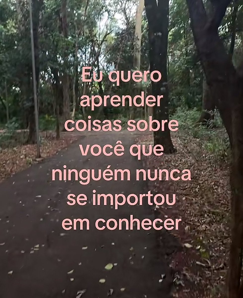 sincera tweet media