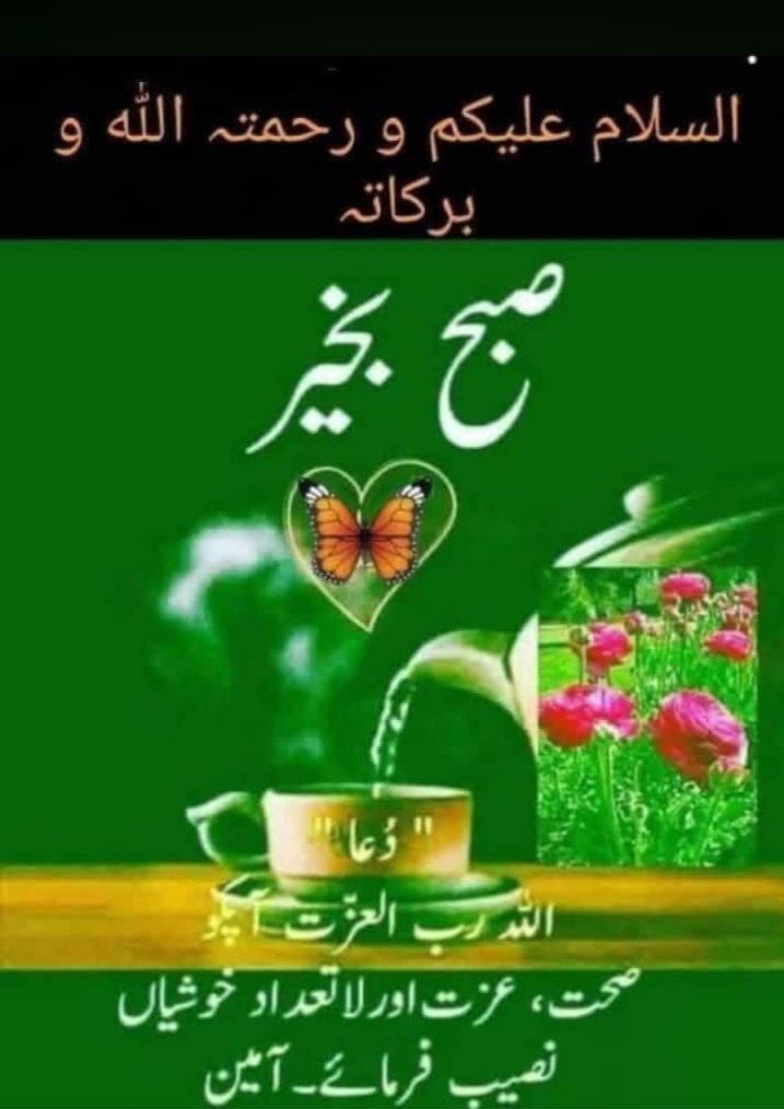 sobia tweet media