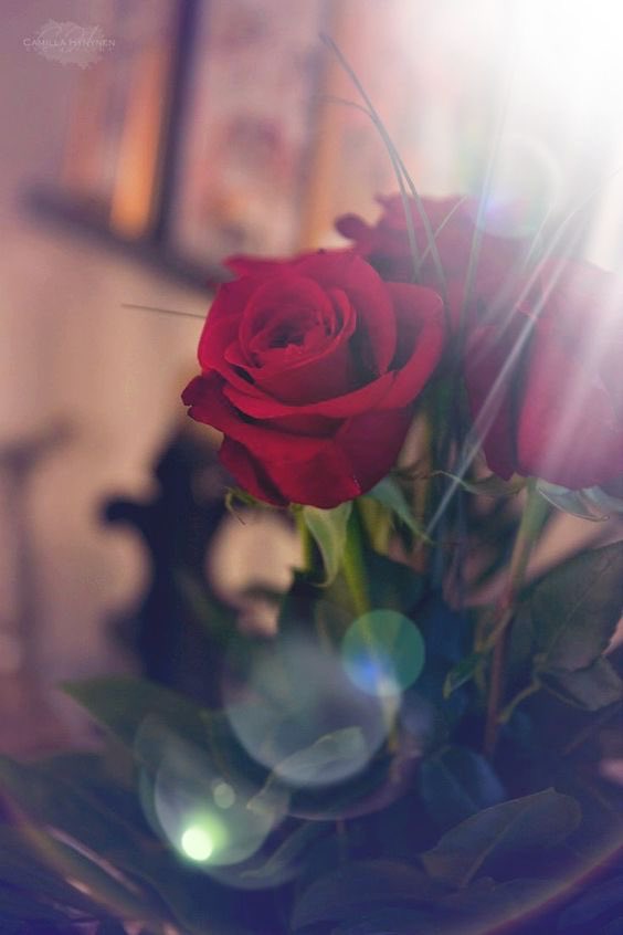 pvt_sra's tweet photo. وهب لنا يالله أياماً أمنه و رحبه ،كثيرة الخير و البركه🌸
صــباح الخـــير 🌸🌸 https://t.co/3U8tb2ahOB