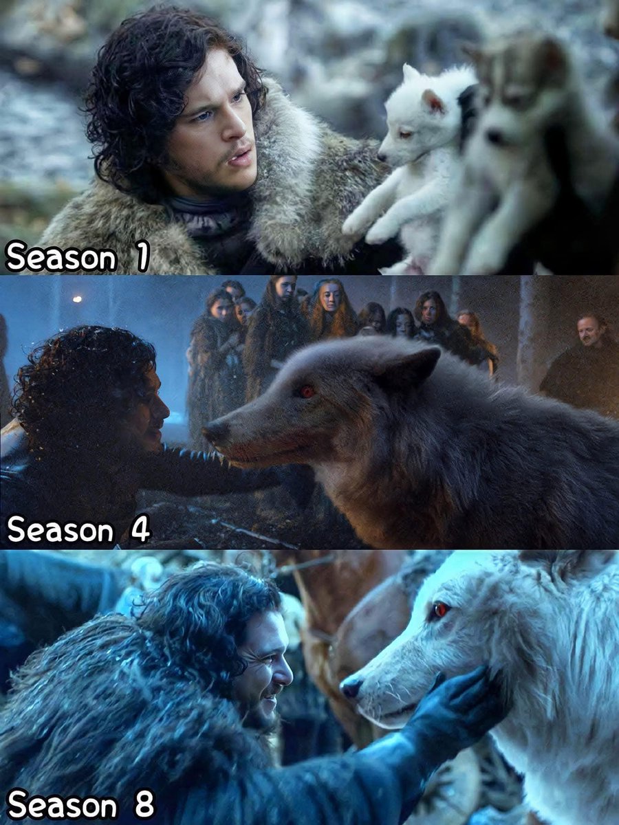 best of GOT tweet media