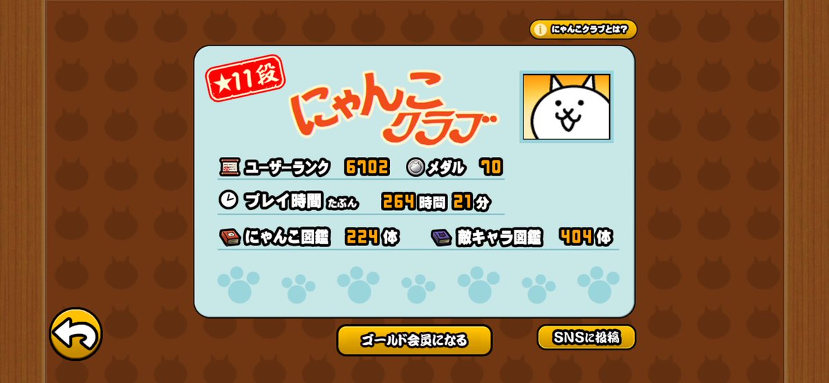 初心者🔰 tweet media