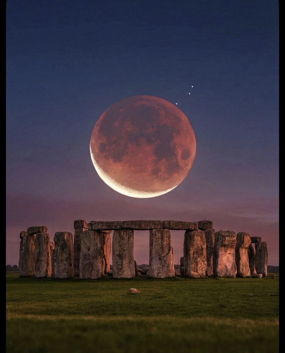 MOON LOVER tweet media