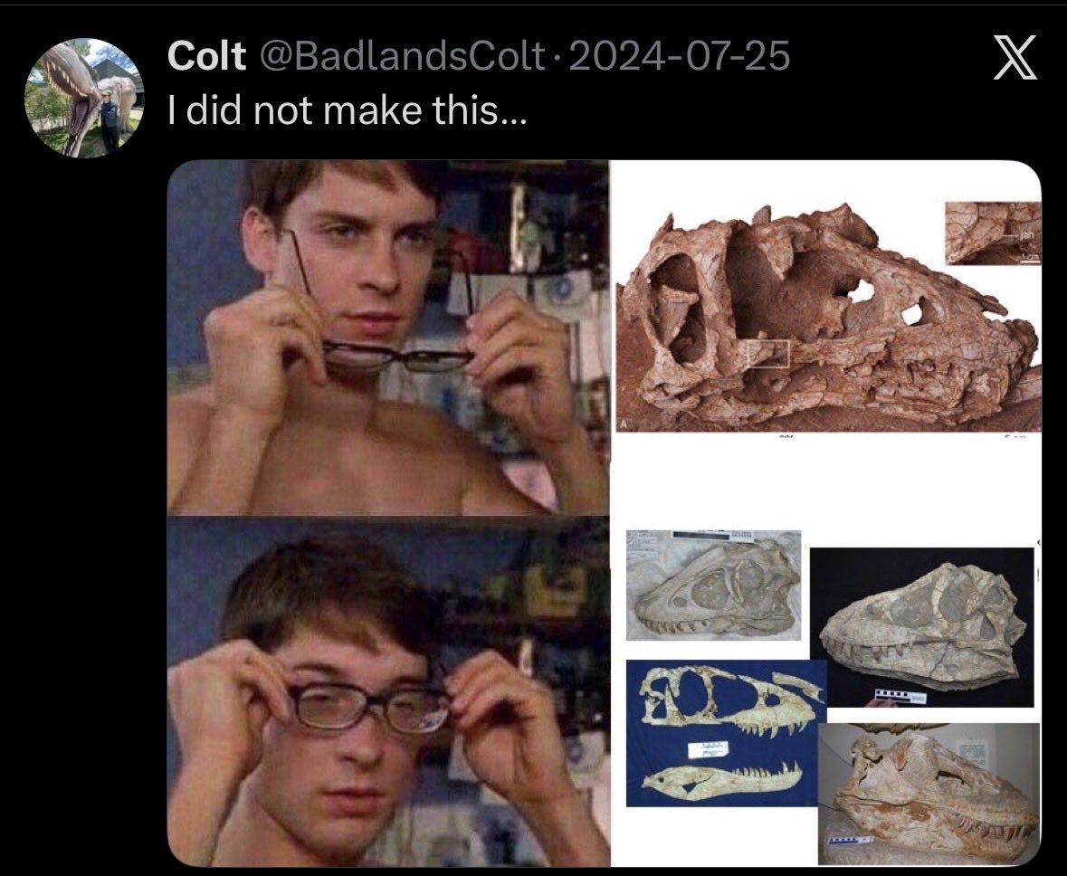 Colton tweet media