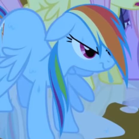 pol tweet media