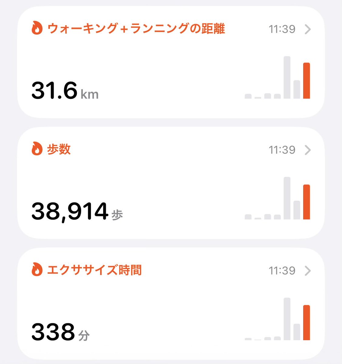 南の鴎 tweet media