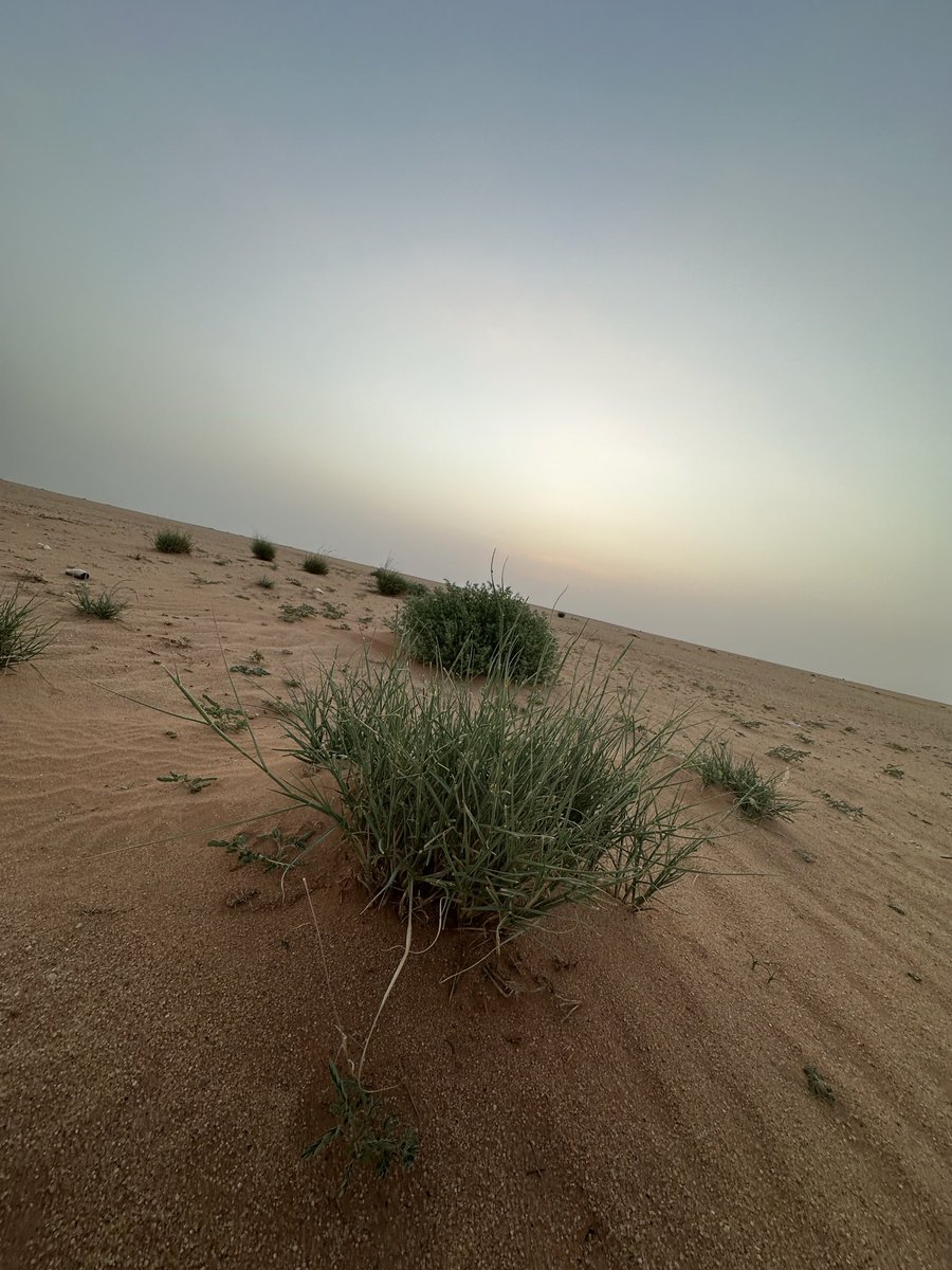حبيب الله tweet media