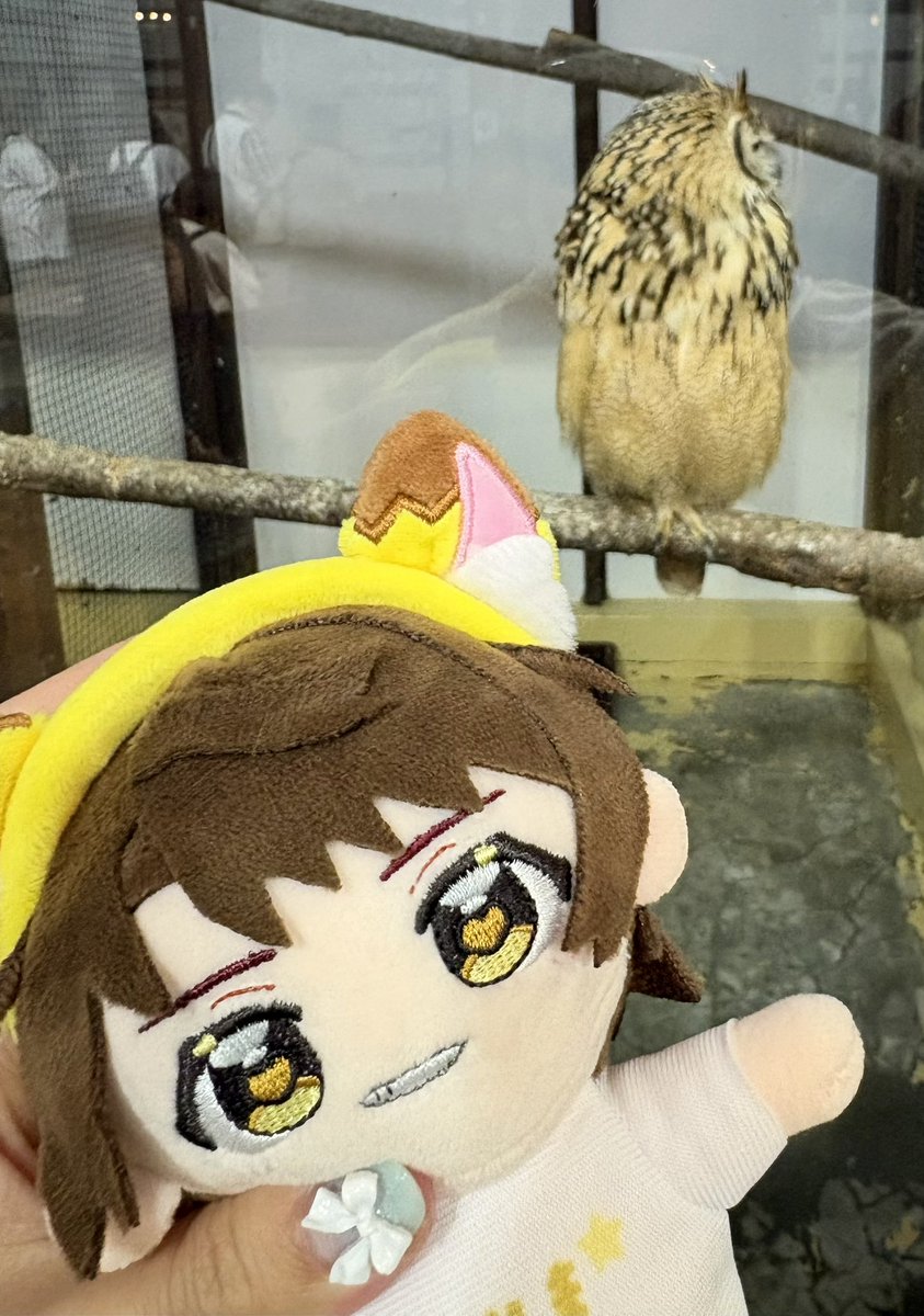 みにゅ@ラ tweet media